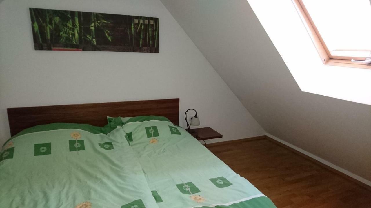 Apartma Geoteh Terme Catez 6032 Krško Exterior foto