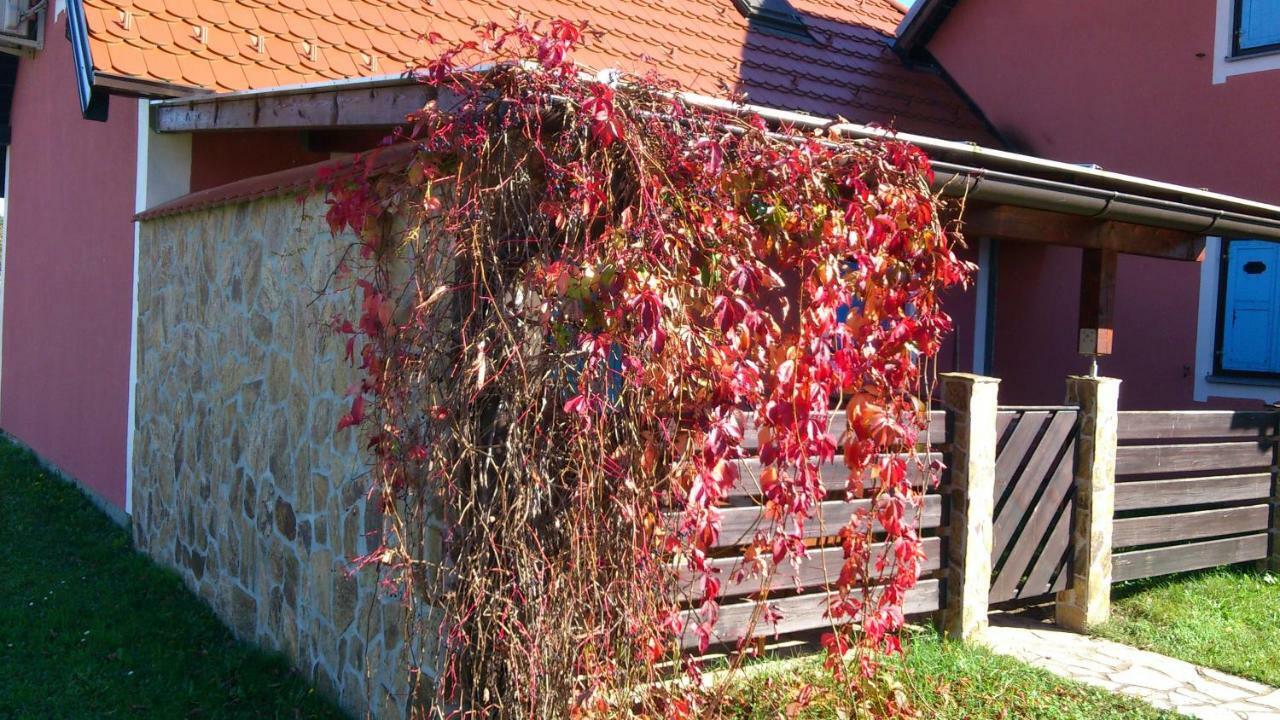 Apartma Geoteh Terme Catez 6032 Krško Exterior foto